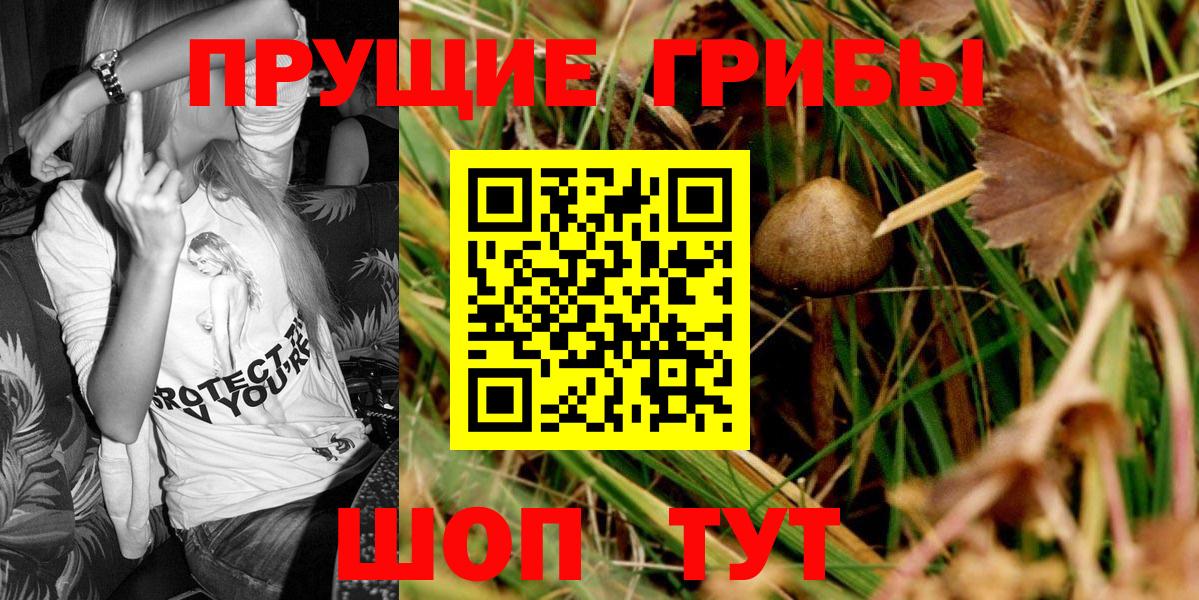 Галлюциногенные грибы Cubensis  Вход с VPN  Псилоцибиновые грибы прущие грибы  Химки 