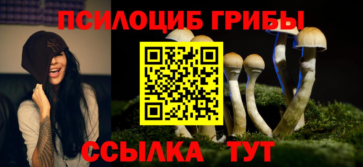Галлюциногенные грибы Magic Shrooms Химки